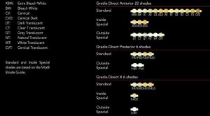 کامپوزیت گرادیا جی سی – GC Gradia Direct Composite 3 کامپوزیت گرادیا جی سی